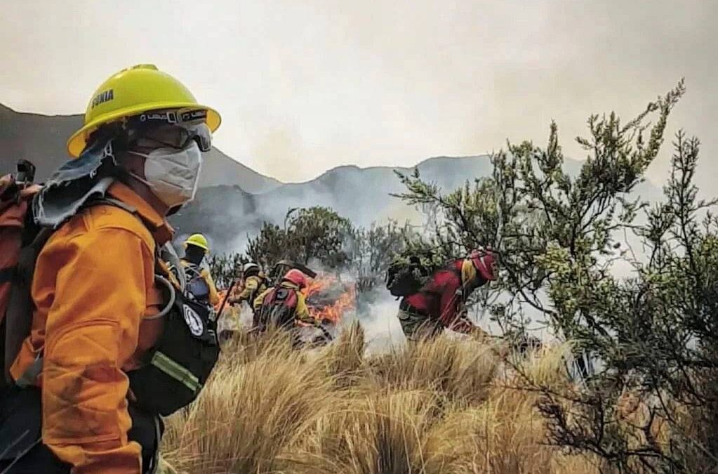 Incendios en Córdoba: una historia repetida y un Gobierno responsable